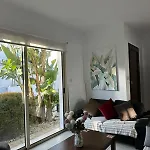 Lc Palm