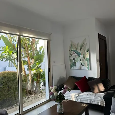 Lc Palm